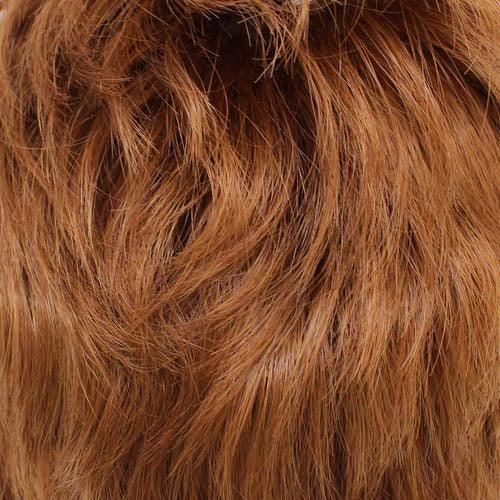 BA814 Crown Hairpiece by WigPro | Bali Synthetic Hair Pieces