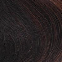 BA814 Crown Hairpiece by WigPro | Bali Synthetic Hair Pieces