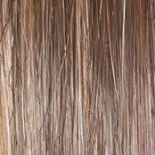 Captivating Canvas Wig by Raquel Welch | Synthetic Lace Front (Basic Cap)