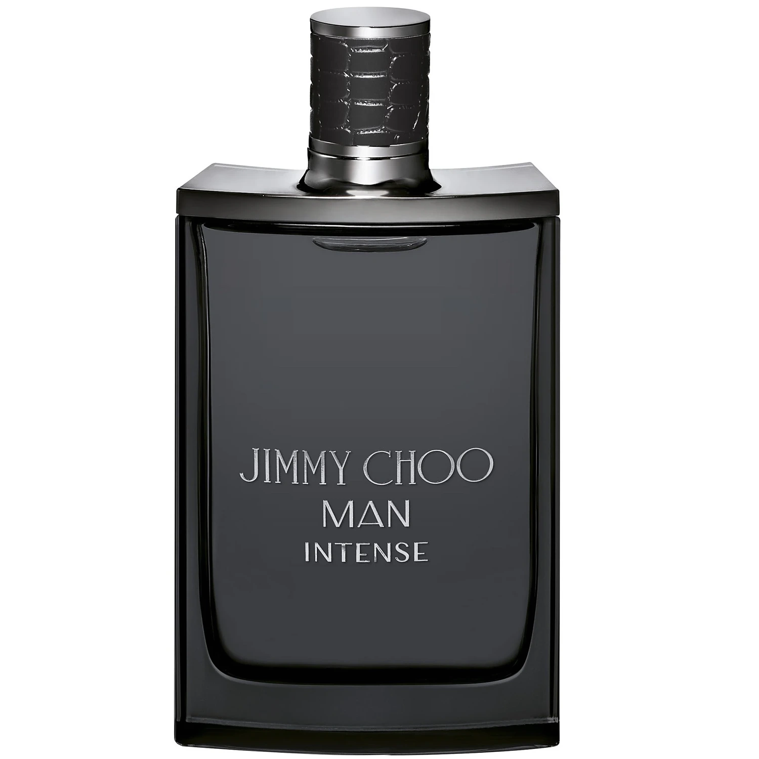 Jimmy Choo Man Intense 6.8 oz EDT for men