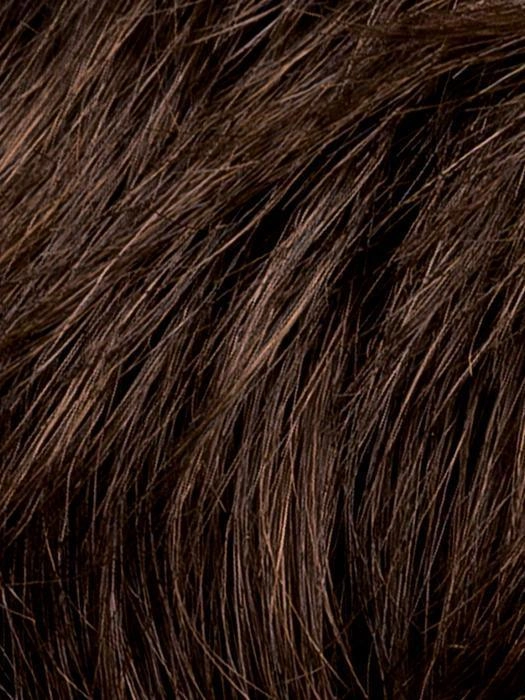 Sage Hairpiece by Ellen Wille | Synthetic Hairpiece